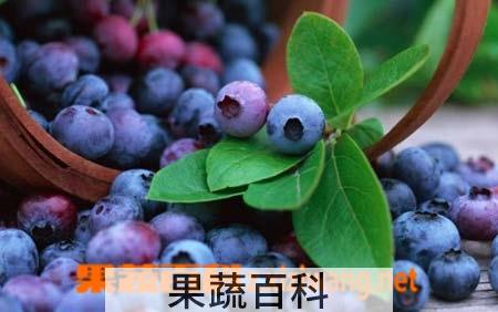 果蔬百科蓝莓汁的功效与作用