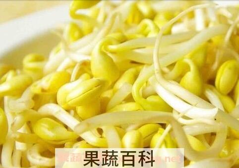 黄豆芽怎么发 黄豆芽培育技术
