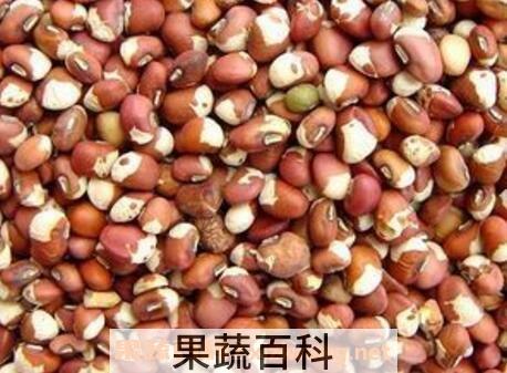 花豇豆的功效与作用
