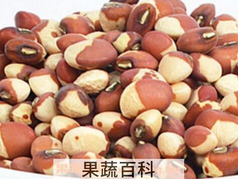 花豇豆的功效与作用
