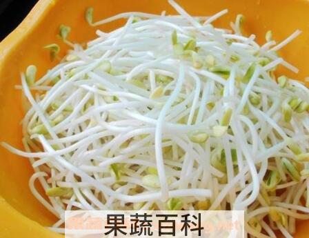 芽菜的功效与作用
