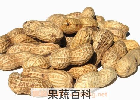 吃花生有什么好处和坏处