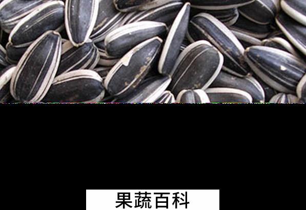 果蔬百科葵花籽的营养价值与功效