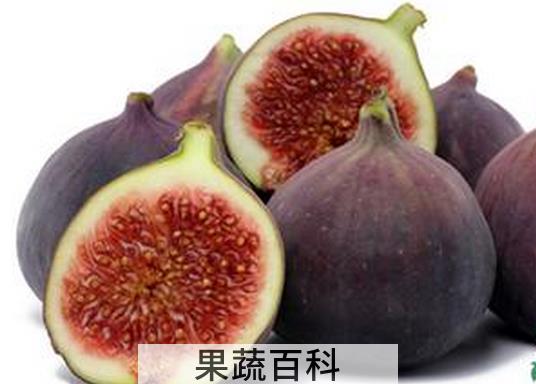 果蔬百科无花果的药用价值与功效