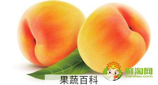 桃子的热量高吗，一个桃子的热量是多少大卡
