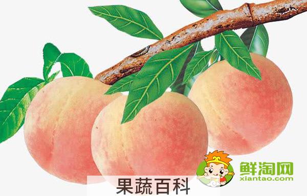 桃子的热量高吗，一个桃子的热量是多少大卡