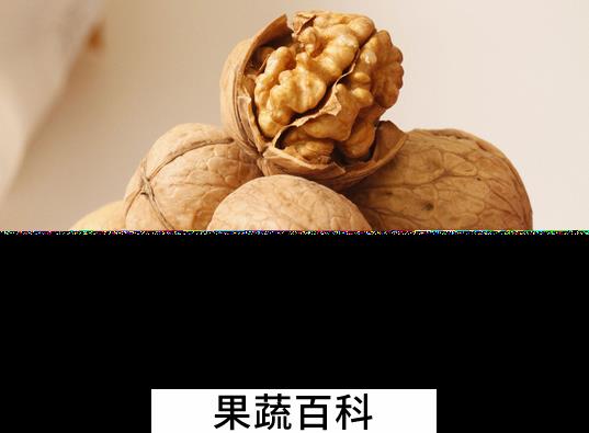 果蔬百科核桃的食疗功效与用法
