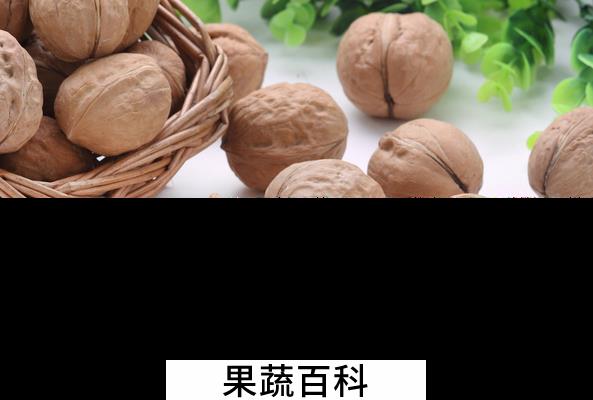 果蔬百科核桃的药用价值与功效