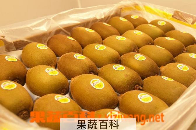果蔬百科黄金奇异果的功效与作用