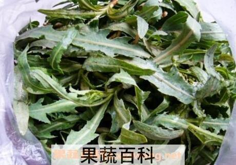 曲么菜的功效与作用