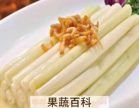 蒲儿菜的功效与作用