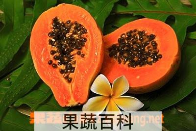 果蔬百科木瓜酵素的功效与作用