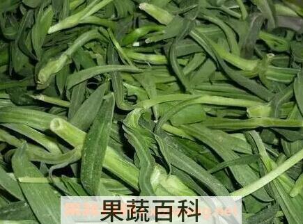齐齐菜的功效与作用