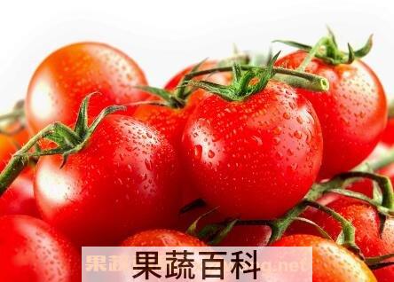 吃西红柿的好处与功效作用