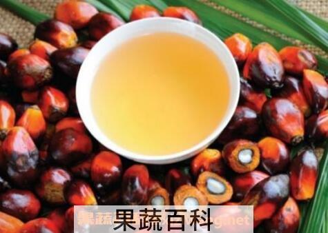 棕榈油的功效与作用