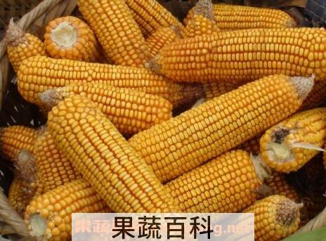 吃玉米的好处和功效