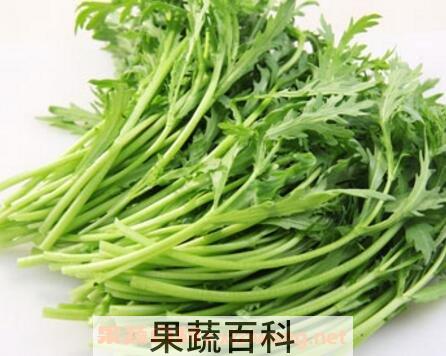 蓬蒿菜的功效与作用