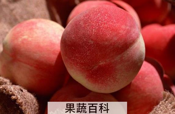 果蔬百科桃子的食疗功效与用法