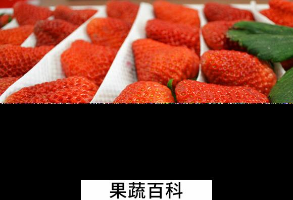 果蔬百科牛奶草莓的功效与作用