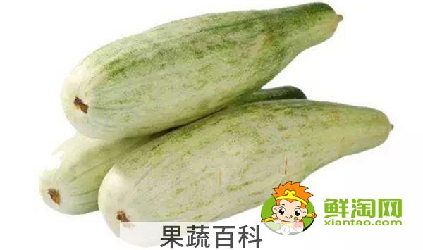 羊角蜜一年能种几次，羊角蜜什么时候种最好