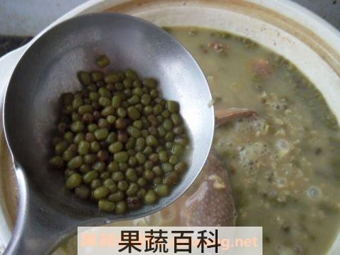 白鸽绿豆汤