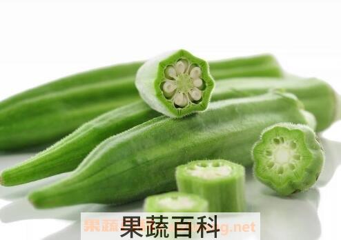 羊角菜的功效与作用