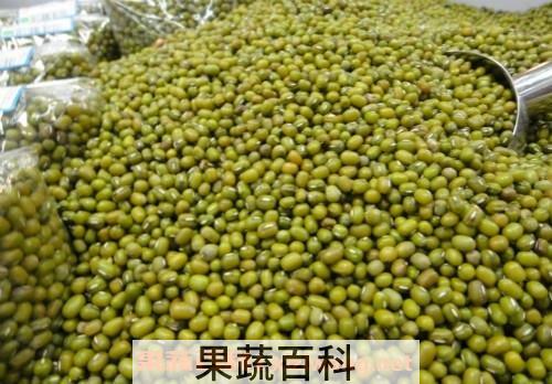 绿豆