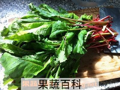 老萝卜菜叶