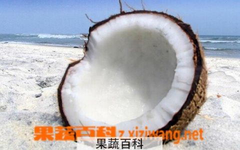 椰子粉的功效与作用 椰子粉的食用吃法