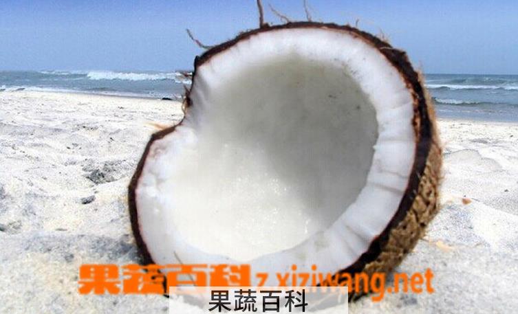 果蔬百科椰子粉的功效与作用