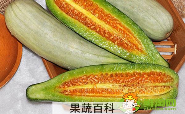 羊角蜜是香瓜的一种吗，羊角蜜和香瓜的区别