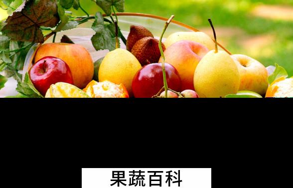 果蔬百科吃水果的禁忌有哪些