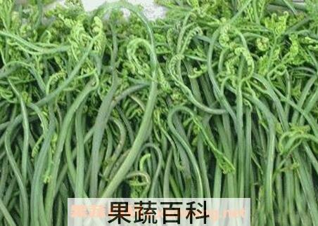 佛手菜的功效与作用