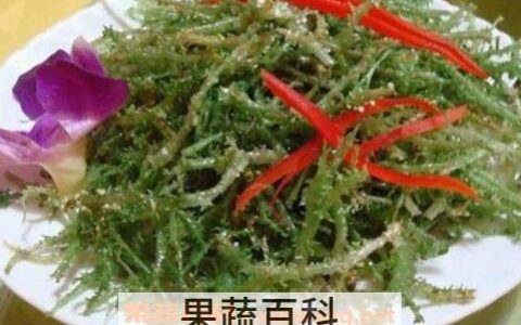 鹿角菜的功效与作用图片 鹿角菜的功效与作用及食用方法