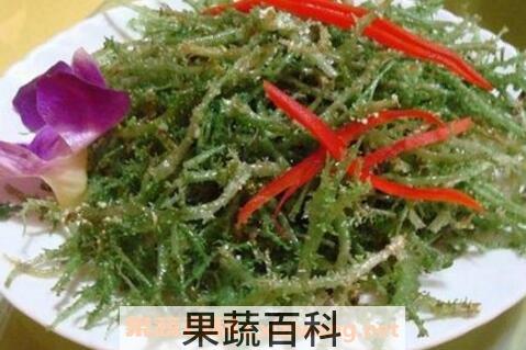 鹿角菜的功效与作用