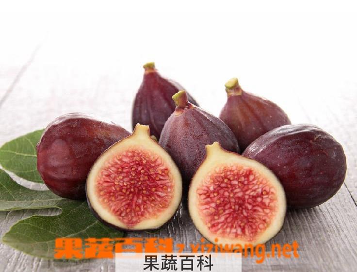 果蔬百科无花果吃法 无花果的功效与作用