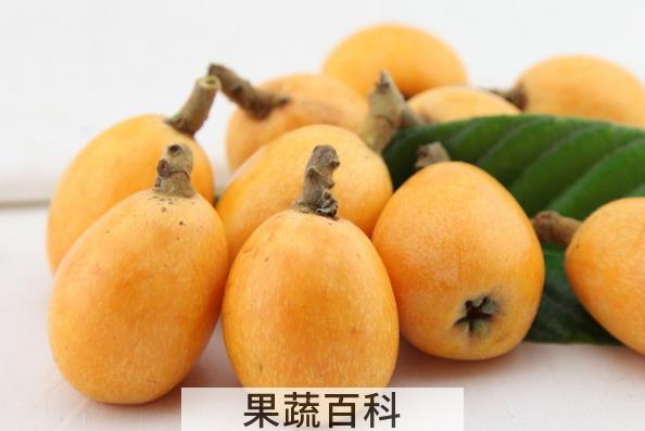 果蔬百科枇杷怎么保存