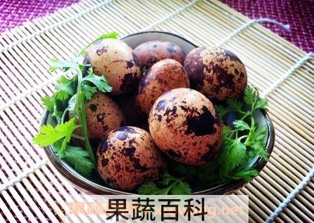 鹌鹑蛋的营养价值 吃鹌鹑蛋的好处