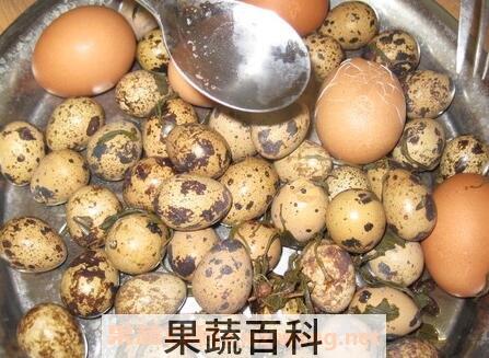 鹌鹑蛋的营养价值 吃鹌鹑蛋的好处