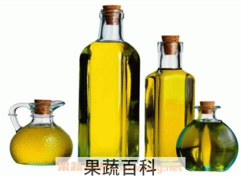 棕榈仁油的功效与作用