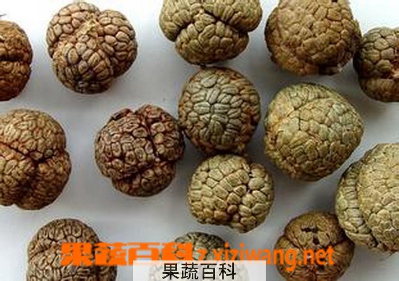 果蔬百科草果的功效作用和食用方法