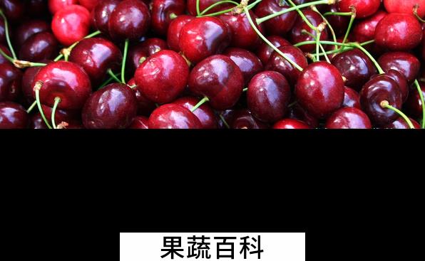 果蔬百科车厘子怎么保存好