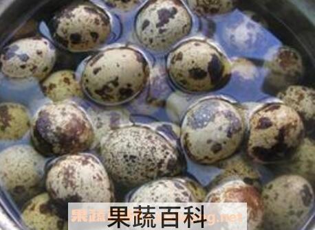 鹌鹑蛋怎么煮 鹌鹑蛋煮多久能熟