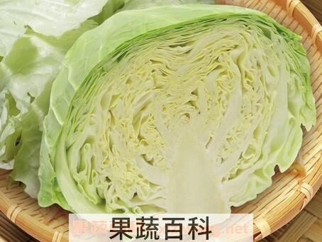 高丽菜的功效与营养价值