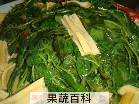 荆棘菜的功效与营养价值