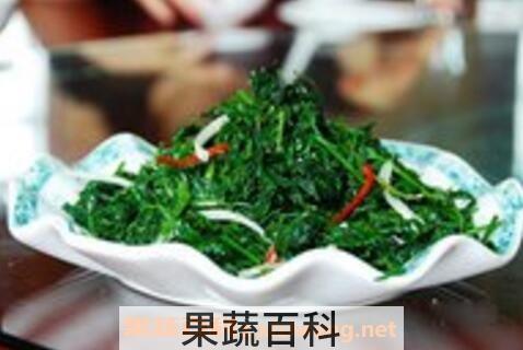 荆棘菜的功效与营养价值