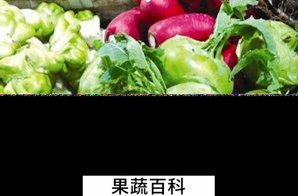 果蔬百科水果苤蓝的功效与作用