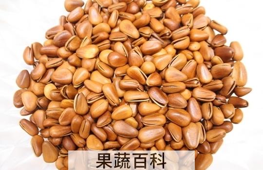 果蔬百科松子的功效与作用