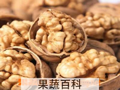 果蔬百科核桃仁的功效与作用