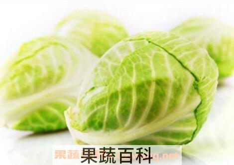 卷心菜的营养价值与功效